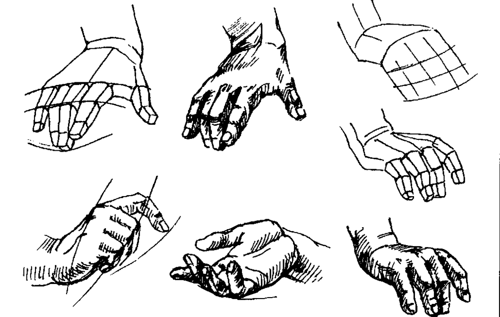 Построение кисти руки. Конструктивное построение кисти руки. Кисть руки схема. Кисти рук для рисования.